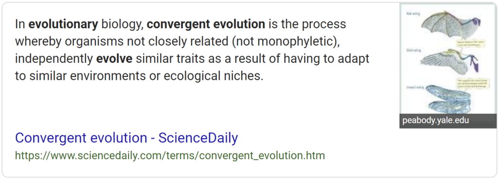 In evolutionary biology, convergent evolution is the process whereby organisms not closely related (not monophyletic), independently evolve similar traits as a result of having to adapt to similar environments or ecological niches.